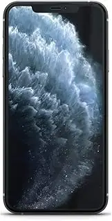 Apple iPhone 11 Pro Max 64GB Silver (Renewed)