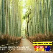 7-15 Days Asian 9 countries 9-in-1 Travel SIM Card |Unlimited Data|Lemon Mobile