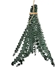 Dried Eucalyptus Branches, Preserved Eucalyptus Branches, Shower Stems and Decoration | Aromatic Leaves for Floral Arrangements, Table Runners, Wedding Decoration Natural Interior Design