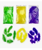 300Pcs Mardi Gras Colorful Feathers 2-5 Inches Bulk Feathers for Crafting