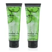 WEN by Chaz Dean 2 x 120ml Cucumber Aloe Anti-Frizz Styling Creme = 240ml
