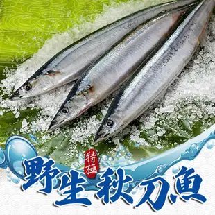 【愛上新鮮】野生特級秋刀魚(2隻/包)(200g±10%/包) 營養/海味/新鮮/燒烤/魚肉 (4.8折)