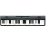 Korg Liano 88-Key Piano - Metallic Gray
