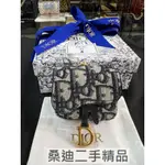 DIOR SADDLE AIRPODS PRO 保護套