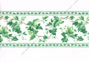 Green English Ivy Leaf Leaves Vine Country White Background Wall paper Border