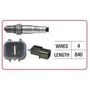 RAE Oxygen Sensor - OX365