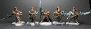 Unit of 5 Custodian Guard Warhammer 40k Adeptus Custodes Paint Commission