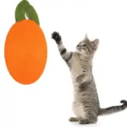 Cat Scratcher Mat Protect Furniture Round Suction Cup Cat Scratcher Pad