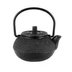 2X(50ml Japanese Cast Iron Kettle Teapot Comes + Strainer Tea Pot R8Y8)6974