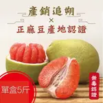 【老張果物】台南麻豆養生紅文旦禮盒 5斤±5%/盒 (2-4顆裝/盒)