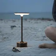 Shenzhi Tech Ambient LED Table Lamp, USB Rechargeable Desk Lamp, Touch Controlled Dimmable Indoor Night Light for Home Decor Bedside Room (Black)