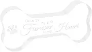 Generic Memorial Dog Lovers, Remembrance Gift, Acrylic, Dog Death, Gifts for The Loss of A Dog, Sympathy The Office Shelf