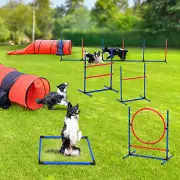 Beuloke Dog Agility Training Equipment Set Outdoor Obstacle Courses Starter Kit