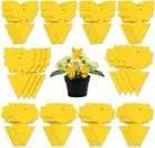 H HOME-MART 36 Pack Yellow Dual Sided Gnat Trap for House Plants-Sticky Fly T...