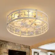 Caged Ceiling Fans with Lights and Remote, 20" Flush Mount Ceiling Fan Light, Lo