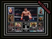 MIKE TYSON LIMITED EDITION SIGNED & FRAMED MEMORABILIA - HEAVYWEIGHT CHAMPION