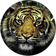 Slipmat Slip Mat Scratch Pad Felt for Any 12" LP DJ Vinyl Turntable Record Player Custom Graphical - Cat Tiger 3