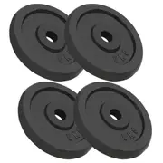 Weight Plates 4 pcs 4x5 kg Cast Iron vidaXL