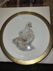Young American Bald Eagle 13” Plate by Edward Marshall Boehm 1973 Limited Issue