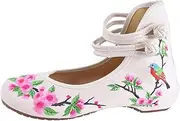 [JKSSMB] Cloth Shoes Vintage Embroidery Cloth Shoes Women Lady Mary Jane Shoes Chinese Comfort Canvas Shoes Great Match for Jeans Daily Life