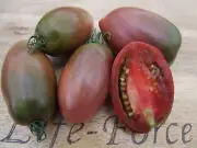 Tomato, Purple Russian - Heirloom Vegetable by Life-Force Seeds Australia