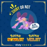 Swampert Shiny or Non ✨ 6 IV Competitive Customizable Pokémon Scarlet Violet