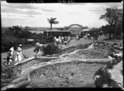 NSW Water lily ponds Zoo Taronga Park Zoo Sydney New South Wale - Old Photo