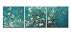 Van Gogh Wall Art Canvas Print Painting Almond Blossom Picture The Van Gogh C...
