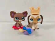 2pcs/lot Littlest Pet Shop toys LPS Brown Yellow Dog #1623 W/5pcs Accessories