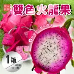 【雪莉朵辣】南投雙色火龍果10斤X1箱