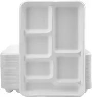 240pcs Sugarcane Bagasse 6 Compartment Lunch Paper Tray Plates 32x22cm (12.5" x 8.6") Bulk