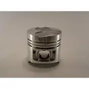 Austral Piston Set - PO1284 STD