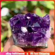 40-50g Natural Quartz Amethyst Crystal Cluster Mineral Rock Druzy Geode Healing