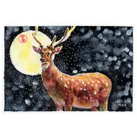 在飛比找蝦皮購物優惠-梅花鹿 Sika deer 明信片105x148mm max