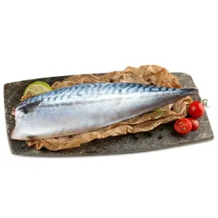 【金澤旬鮮屋】南方澳急凍無鹽鯖魚40片爆殺組(110g/片)