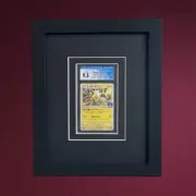 Black Shadow Box/Frame for CGC Graded Cards W/two Black Mats & UV Protection!