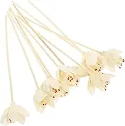 GETAJGHSD 10Pcs Natural Diffuser Sticks Flower Scented Sticks for Essential Oil Diffusers Chic Home Decoration Accessory for Kitchen Bedroom and Living Room