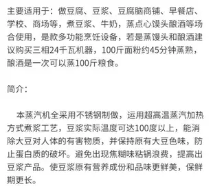 多功能商用電加熱蒸汽煮豆漿機蒸汽機釀酒爐蒸氣發生器鍋爐不銹鋼