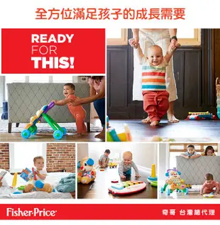 【Fisher price 費雪】音樂小小花園野餐組