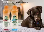 美國 TROPICLEAN 蚤蜱逃|驅蚤剋星 驅蚤洗毛精 592ML 犬用驅蚤洗毛精 天然精油配方 獸醫團隊研發