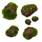 Grass Wood Green Moss Stone Micro Landscape Fake Rock Blocks Simulation Stones