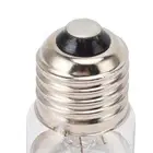 Reptile Heat Lamp Bulb E27 100W UVA Spot Light for Amphibians Day Night Use