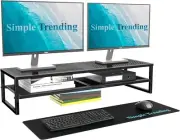 2 Tier Metal Dual Monitor Stand Riser Computer Office Desktop Organizer for