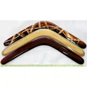 Sports returning boomerang - Albatross