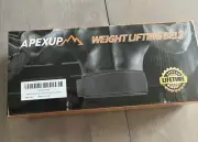 APEXUP Weight Lifting Belt, 4 Inch Quick Locking Gym Belt Fitness Gray