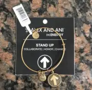 Gold Stand Up Alex And Ani Bracelet