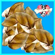 BEEF EARS 50 Australian TREATS 4 DOGS Natural Reward Treats