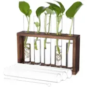 Flower Arrangement Container Set Glass Propagation Vase