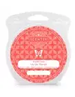 Go, Go, Mango Travel Twist Scentsy