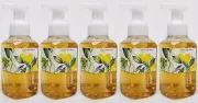 5 Bath & Body Works LEMON CUCUMBER Gentle Foaming Hand Soap Wash